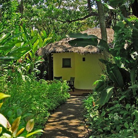 Moivaro Coffee Lodge Arusha Kültér fotó