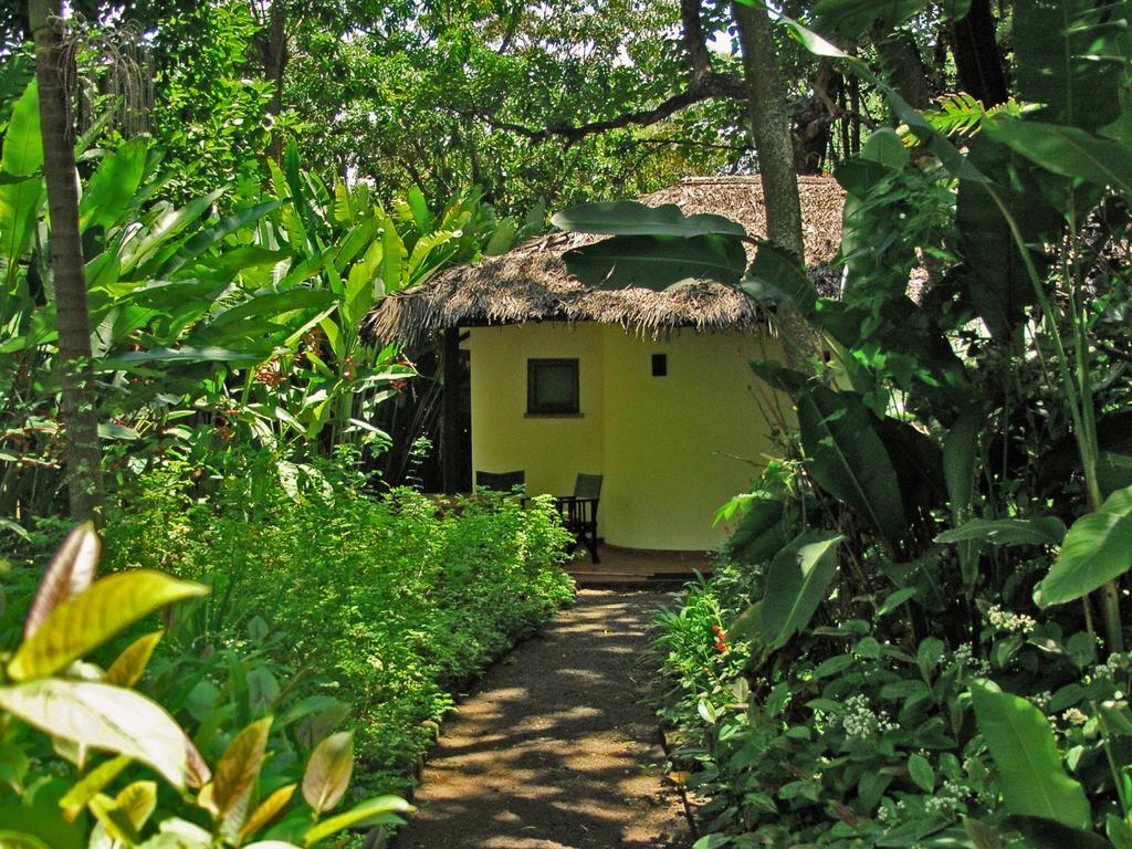 Moivaro Coffee Lodge Arusha Kültér fotó