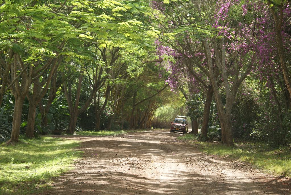 Moivaro Coffee Lodge Arusha Kültér fotó