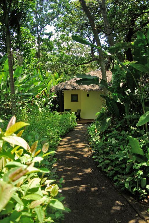 Moivaro Coffee Lodge Arusha Szoba fotó